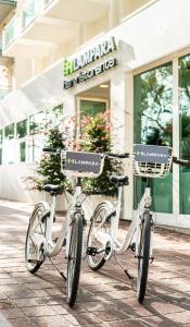 Jazda na bicykli v okolí ubytovania Hotel Lampara