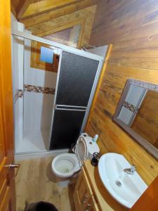 a small bathroom with a toilet and a sink at Villa Rebequita in Villapinzón +54 photos