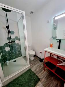 een badkamer met een douche, een toilet en een wastafel bij Le Nintendo in Liévin