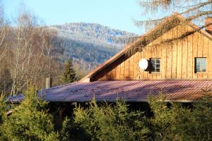 una grande casa in legno con tetto di paglia di Penzion Krcma a Dolní Morava