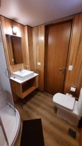 a bathroom with a toilet and a sink at Hermoso monoambiente con jardin, modernoso y cálido a media cuadra de la calle principal (V406) in San Martín de los Andes +18 photos