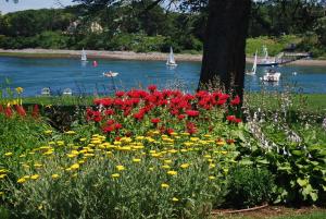 a field of flowers next to a river with boats at Dockside Guest Quarters in York