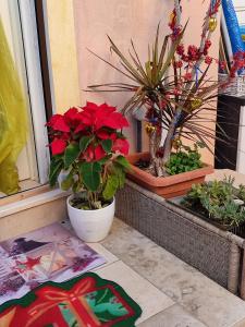 Giardino di B&B Lety