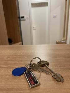 苏博蒂察Lux Advent Apartment的相册照片