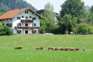 Gallery image of Maiergschwendter Hof in Ruhpolding