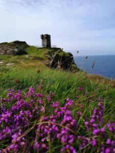 a field of purple flowers on a hill with a castle at Puffin rooms in Lisdoonvarna
