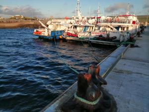 two boats docked at a dock in the water at Puffin rooms in Lisdoonvarna
