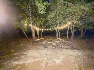 un grupo de patos sentados en un parque por la noche en Finca Avellanas, en Playa Avellana