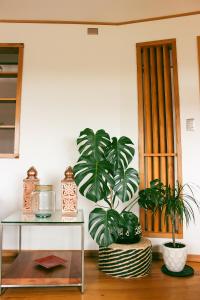 a room with two potted plants and a table at Cabañas Arrayanes de Huillinco en Chiloé in Chonchi