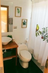 a bathroom with a toilet and a sink at Cabañas Arrayanes de Huillinco en Chiloé in Chonchi +37 photos