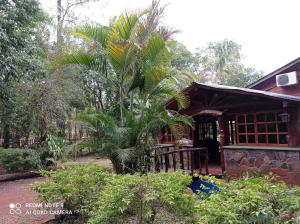 een palmboom voor een huis bij Ma-Ri Cabañas y Camping in Puerto Iguazú
