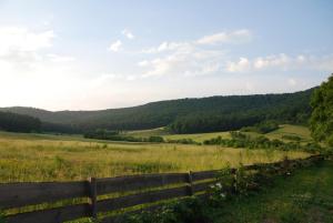 Naturlandschaft in der Nähe der Pension