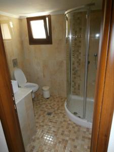 a bathroom with a shower and a toilet at Villa Barouti in Koinyra