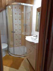 ein Bad mit einer Dusche, einem Waschbecken und einem WC in der Unterkunft Apartmán u Šimků in Třeboň