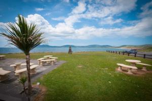 a group of picnic tables and a palm tree next to the water at The Smugglers Inn in Waterville