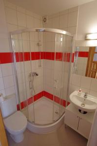 ゾンプにあるPOKOJE KOZICAのシャワー、トイレ、洗面台を備えたバスルーム +13枚の写真