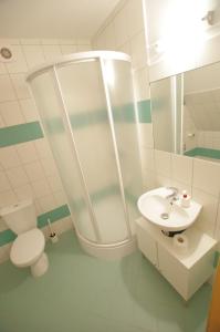 ゾンプにあるPOKOJE KOZICAのトイレと洗面台を備えた白いバスルーム