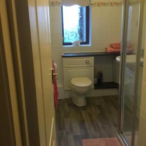 a bathroom with a toilet and a sink and a window at High View Retreat in Lewes