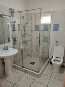 a bathroom with a shower and a toilet and a sink at Residence Le Dattier - Flic En Flac in Flic-en-Flac