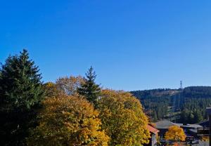 Billede fra billedgalleriet på Bergblick471 i Hahnenklee-Bockswiese