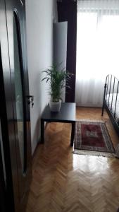 a room with a table with a potted plant on it at Marie Apartment in Bucharest