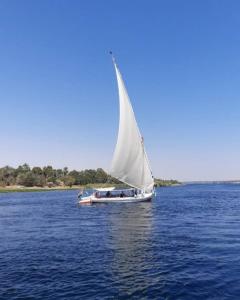 a boat with a white sail in the water at My Dream Nile Felucca in Aswan