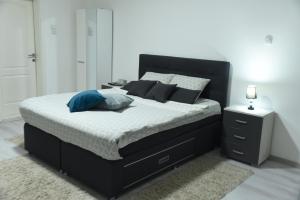 Letto o letti in una camera di Apartmani Sofronic Loznica 2