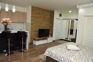 TV o dispositivi per l'intrattenimento presso Apartmani Sofronic Loznica 2