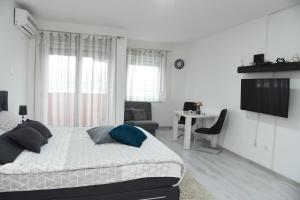 TV o dispositivi per l'intrattenimento presso Apartmani Sofronic Loznica 2