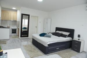 Cucina o angolo cottura di Apartmani Sofronic Loznica 2