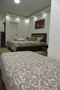 Letto o letti in una camera di Apartmani Sofronic Loznica 2