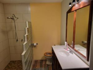 La salle de bains est pourvue d'un lavabo, de toilettes et d'un miroir. dans l'établissement Playa Hermosa Inn at the beach, à Ensenada