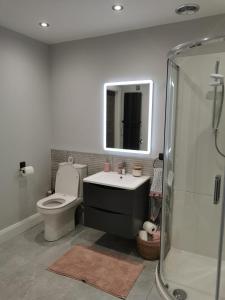 a bathroom with a toilet and a sink and a mirror at Modern 3-Bed Apartment in Magherafelt Sleeps 8 in Magherafelt
