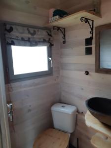 a small bathroom with a toilet and a sink at tiny house in Saint-Vallier