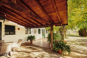 eine Terrasse mit einer hölzernen Pergola und einigen Pflanzen in der Unterkunft Vivienda Turística La Huerta in Guadalcanal