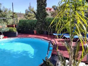 a large swimming pool in a yard with plants at Kid & Holiday 2 in Katakoúli +23 photos