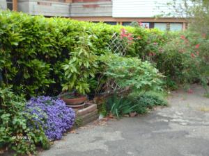 un giardino con molte piante e fiori viola di Hotel Triana e Tyche a Sasso Marconi