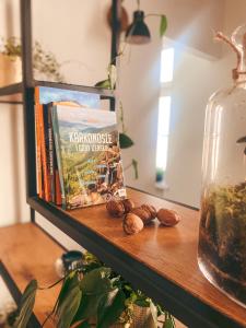 Fotografia z galérie ubytovania FlowerLoft v destinácii Jelenia Góra