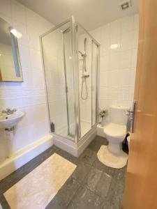 a bathroom with a shower and a toilet and a sink at Beach Front APT with Stunning Sea View in Swansea