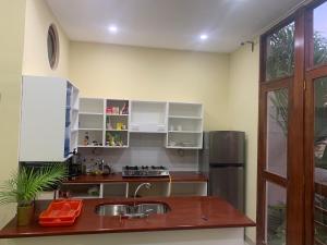 een keuken met een wastafel en een koelkast bij apartamentos Casa Amarilla in Granada