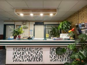 Fotografie z fotogalerie ubytování Valhalla Inn v destinaci New Denver