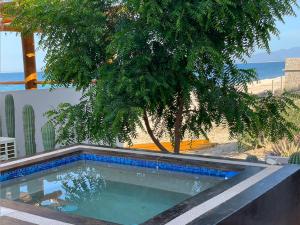 a swimming pool with a tree next to the beach at Beach Front Lofts, La Ventana in La Ventana