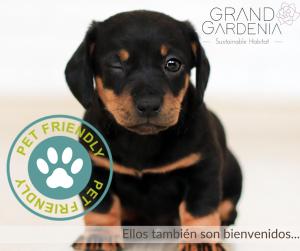 een zwarte en bruine puppy met een bord erop bij Grand Gardenia in Atlixco