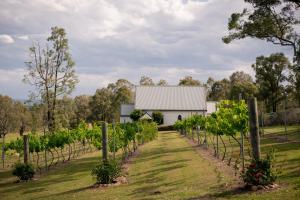 a vineyard with a white building and a bunch of vines at Cabins at Lovedale Wedding Chapel in Lovedale