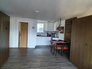 Köök või kööginurk majutusasutuses Studio for 2-4 guests with balcony and panorama view