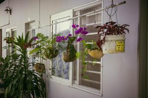 une fenêtre avec une bande de plantes en pot sur elle dans l'établissement Manh Duyen Garden Homestay, à Duong Dong