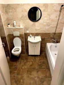 bagno con servizi igienici, lavandino e specchio di Panoramic Residence a Zărneşti
