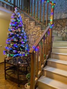 un árbol de Navidad sentado en una silla junto a una escalera en Casa Adelmar, en Tulcea