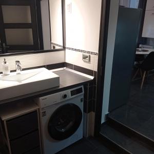 a bathroom with a washing machine and a sink at DownTown DeLuxe Apartment in Eger