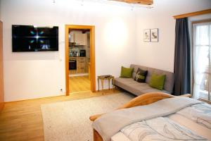 TV a/nebo společenská místnost v ubytování Egger Studio Hornblick